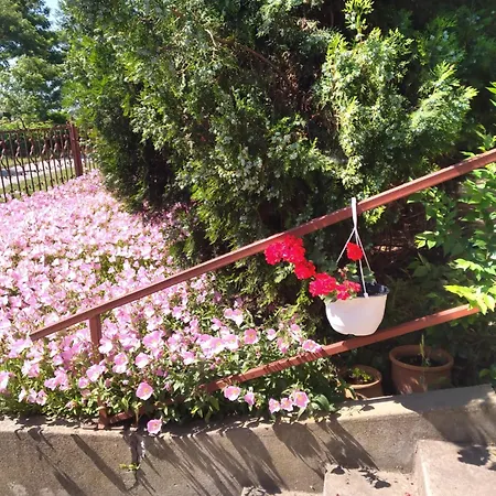 Apartamento 2 Szemelyes Studiò